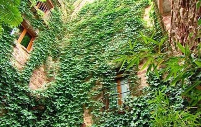 9 bedroom Guesthouse/B & B for sale in Castelló de la Plana - € 995,000 (Ref: 9416128)