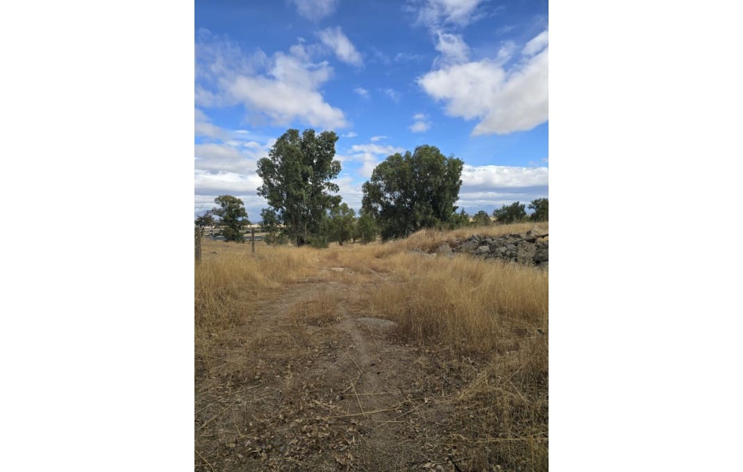 26 bedroom Hotel for sale in Toledo city - € 1,400,000 (Ref: 9549901)