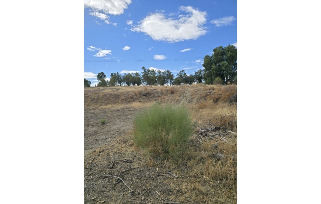 26 bedroom Hotel for sale in Toledo city - € 1,400,000 (Ref: 9549901)