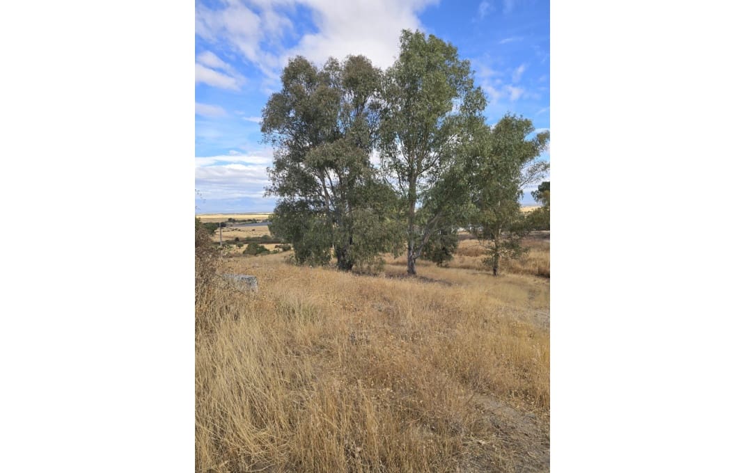 26 bedroom Hotel for sale in Toledo city - € 1,400,000 (Ref: 9549901)