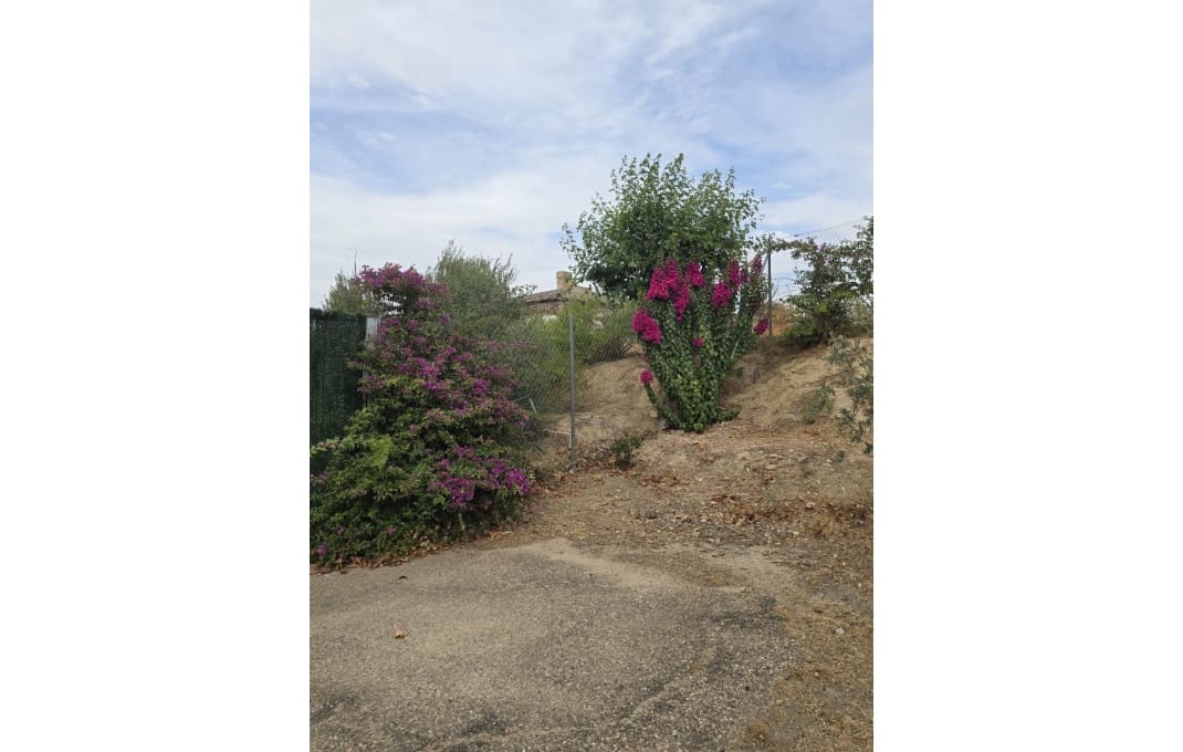 26 bedroom Hotel for sale in Toledo city - € 1,400,000 (Ref: 9549901)