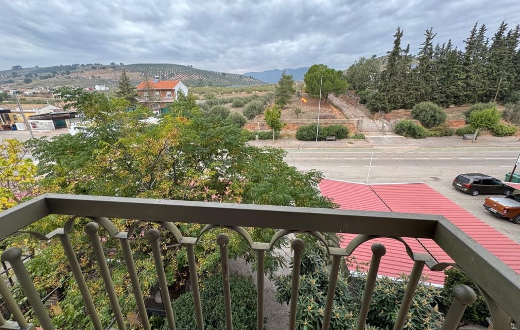 40 bedroom Hotel for sale in Jaen city with pool - € 2,700,000 (Ref: 9827646)