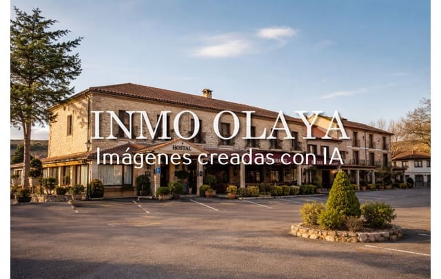 13 bedroom Guesthouse/B & B for sale in Segovia city - € 2,200,000 (Ref: 9877106)