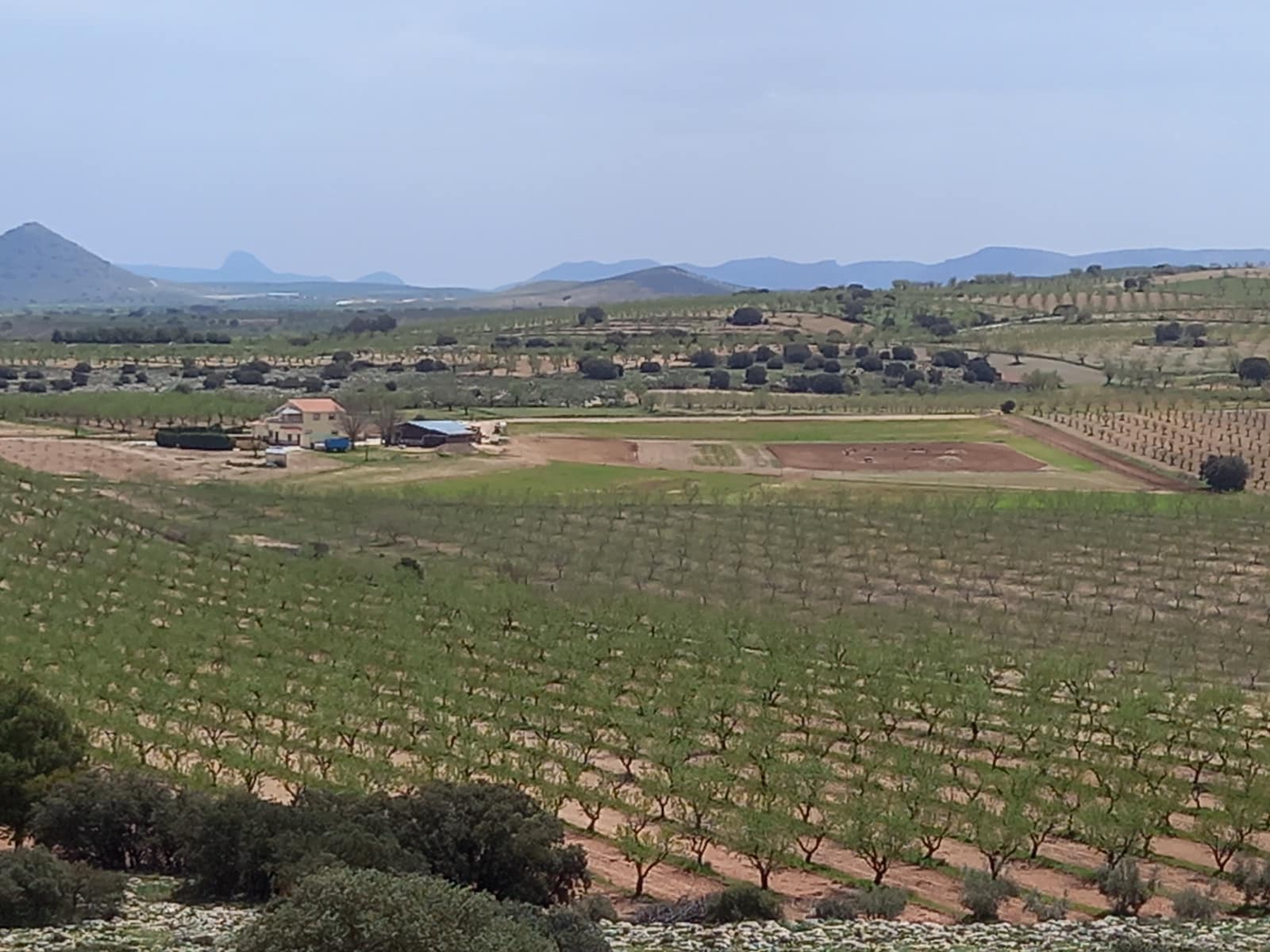 4 soverom Finca/Herregård til salgs i Cullar med svømmebasseng garasje - € 359 000 (Ref: 8453865)