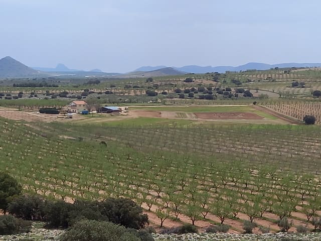 4 soverom Finca/Herregård til salgs i Cúllar med svømmebasseng garasje - € 359 000 (Ref: 8453865)