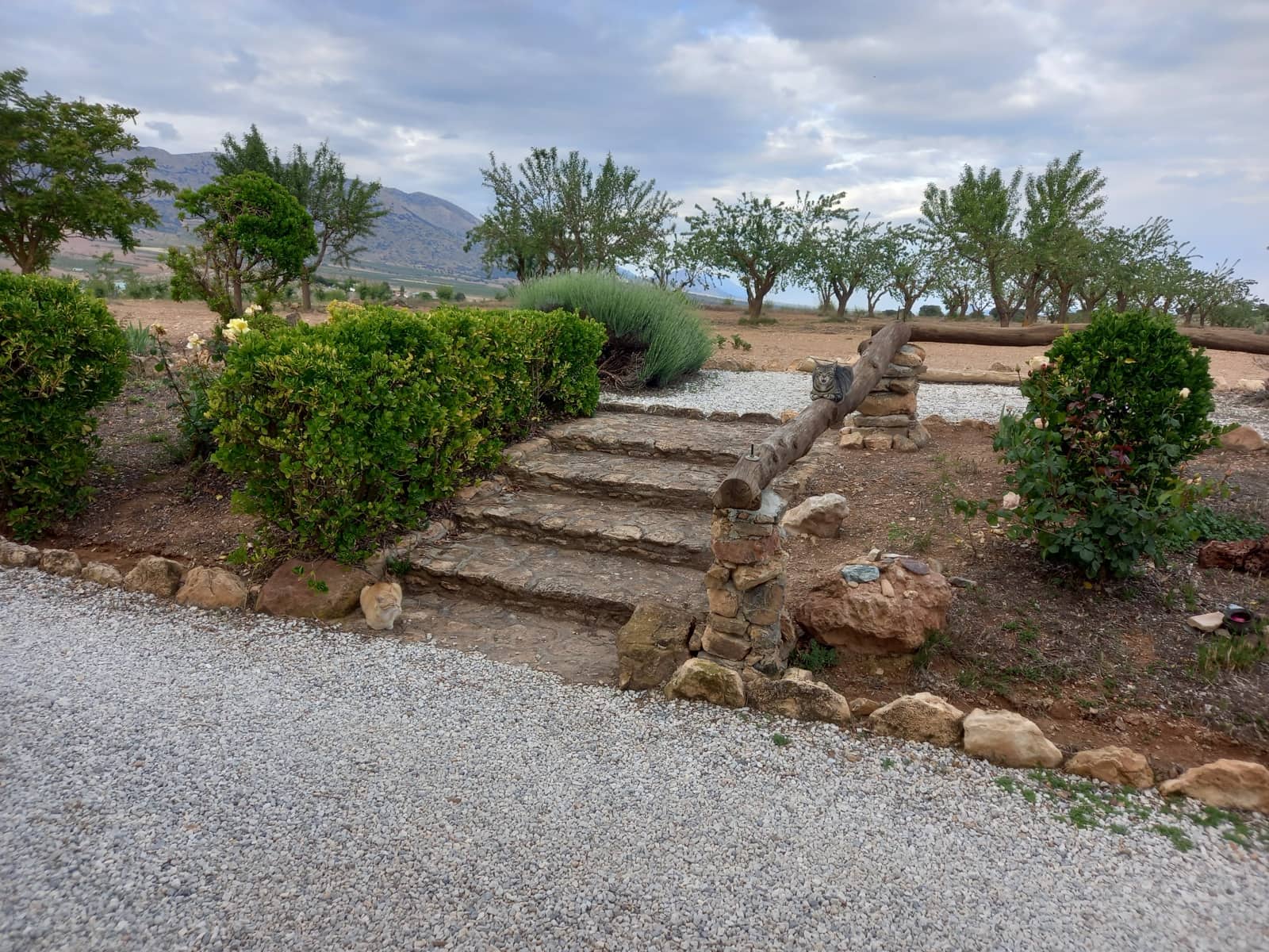 4 soverom Finca/Herregård til salgs i Cullar med svømmebasseng garasje - € 359 000 (Ref: 8453865)