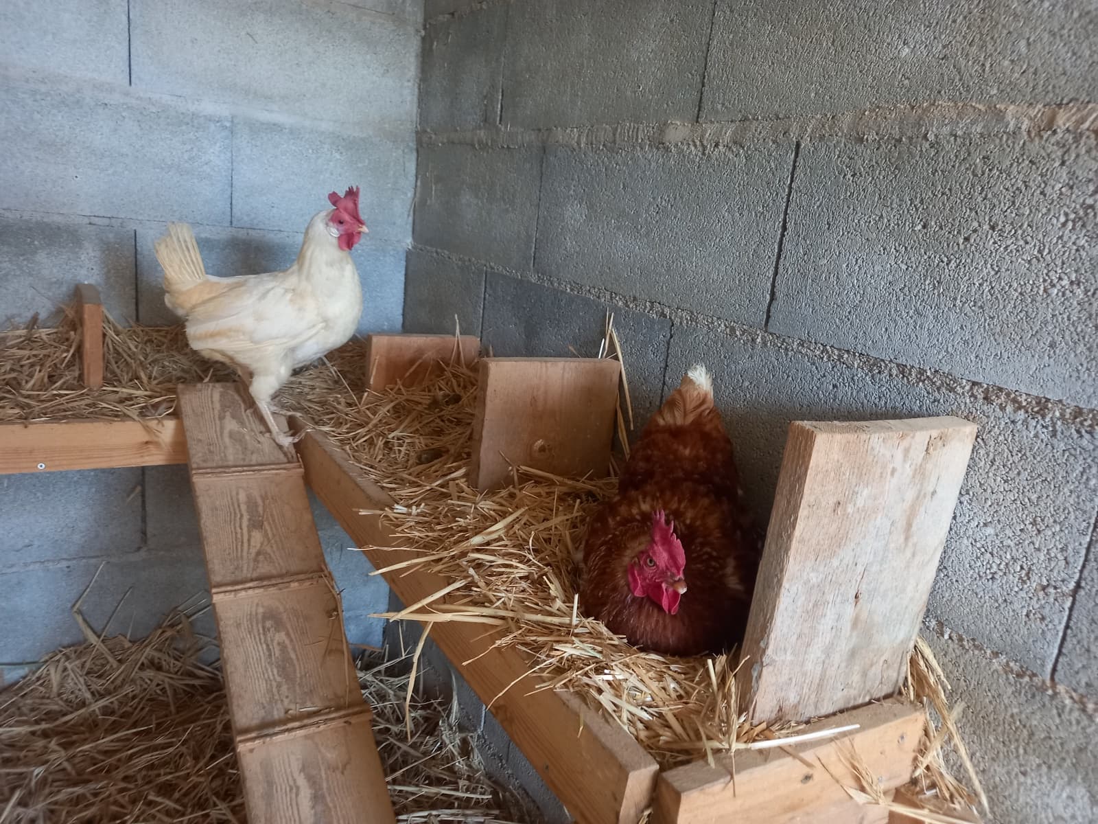 4 soverom Finca/Herregård til salgs i Cullar med svømmebasseng garasje - € 359 000 (Ref: 8453865)