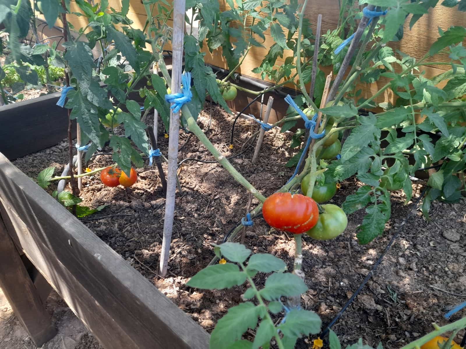 4 soverom Finca/Herregård til salgs i Cullar med svømmebasseng garasje - € 359 000 (Ref: 8453865)