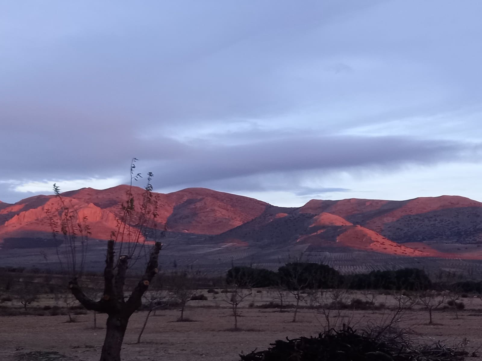 4 soverom Finca/Herregård til salgs i Cullar med svømmebasseng garasje - € 359 000 (Ref: 8453865)