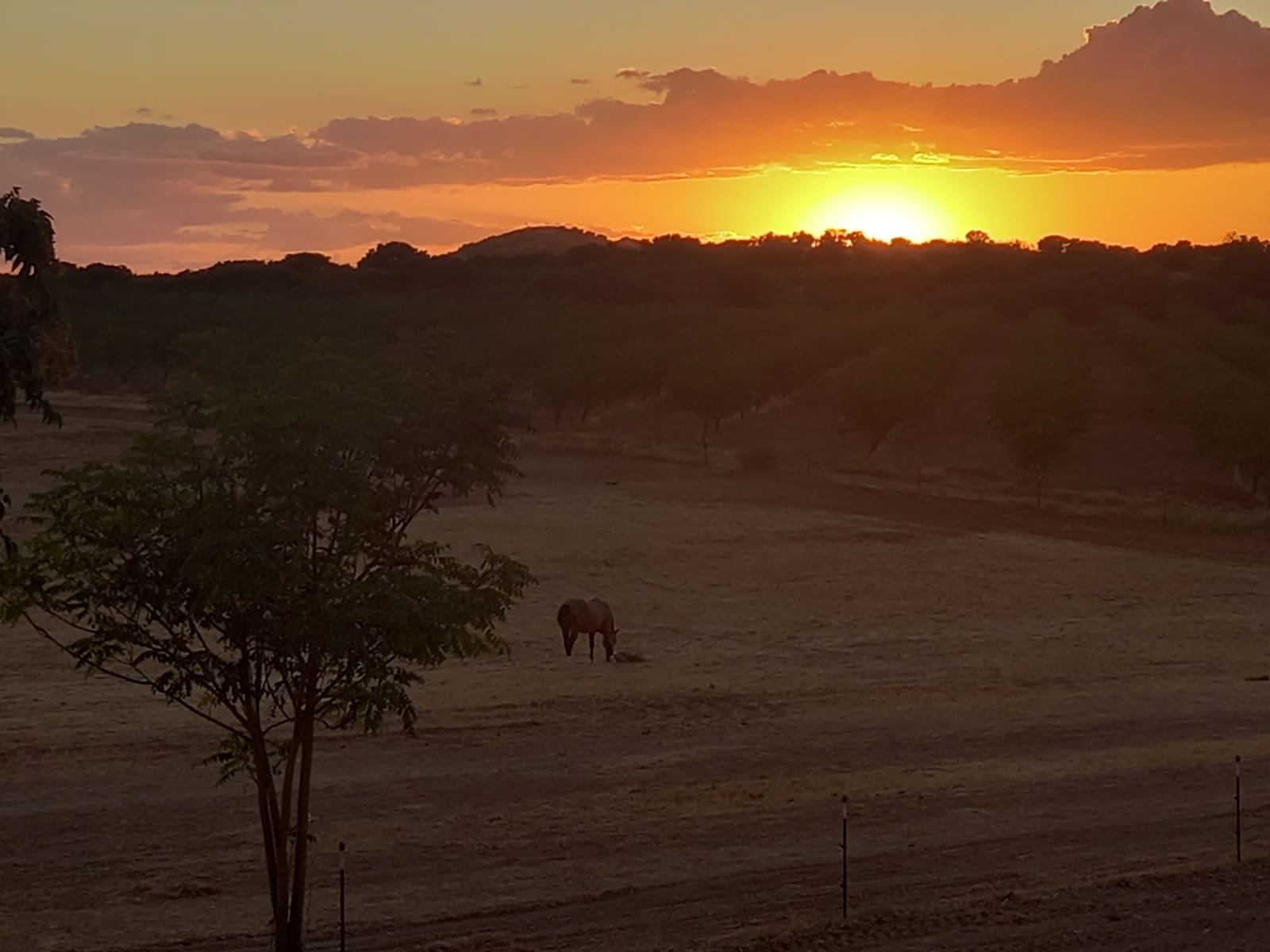 4 soverom Finca/Herregård til salgs i Cullar med svømmebasseng garasje - € 359 000 (Ref: 8453865)