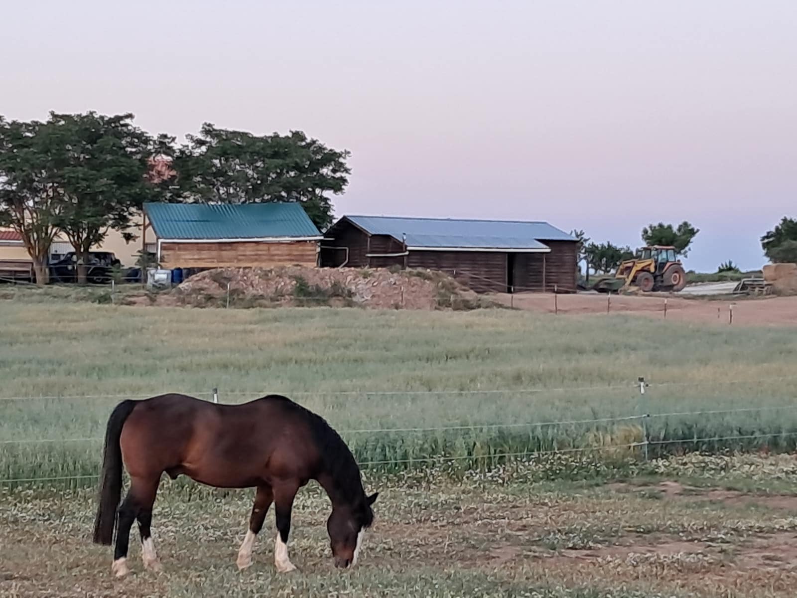 4 soverom Finca/Herregård til salgs i Cullar med svømmebasseng garasje - € 359 000 (Ref: 8453865)