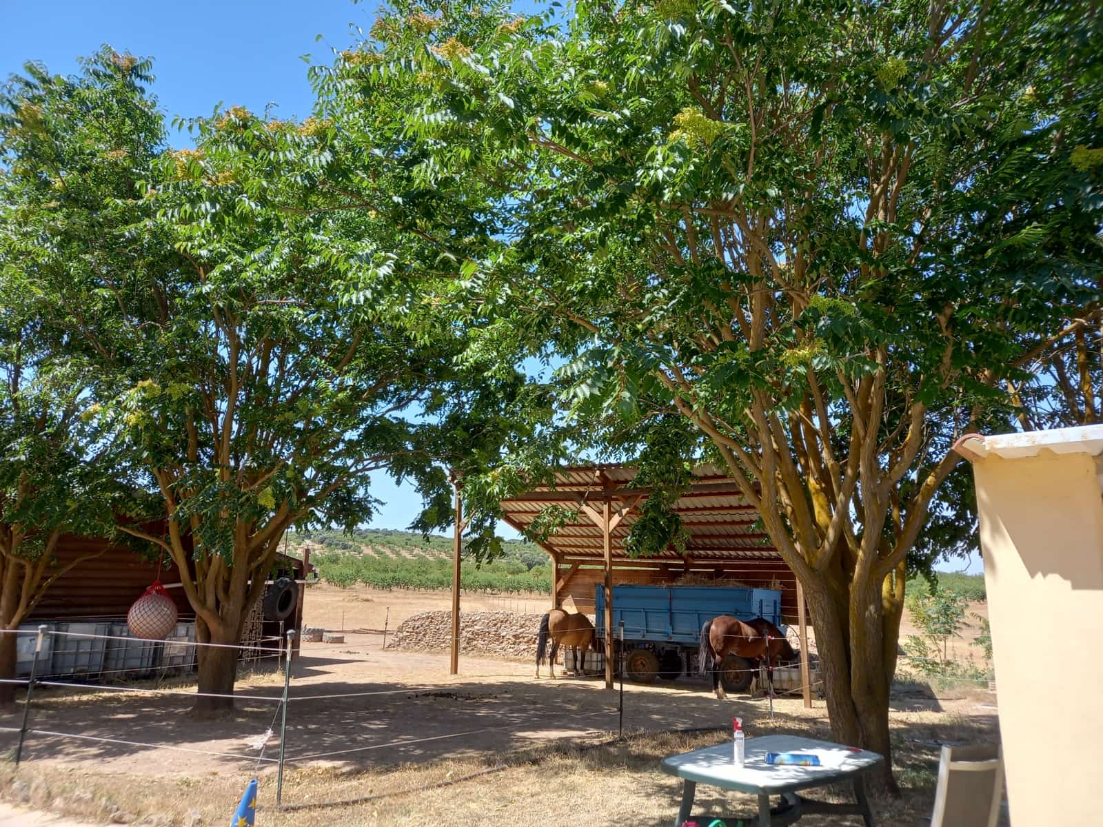 4 soverom Finca/Herregård til salgs i Cullar med svømmebasseng garasje - € 359 000 (Ref: 8453865)