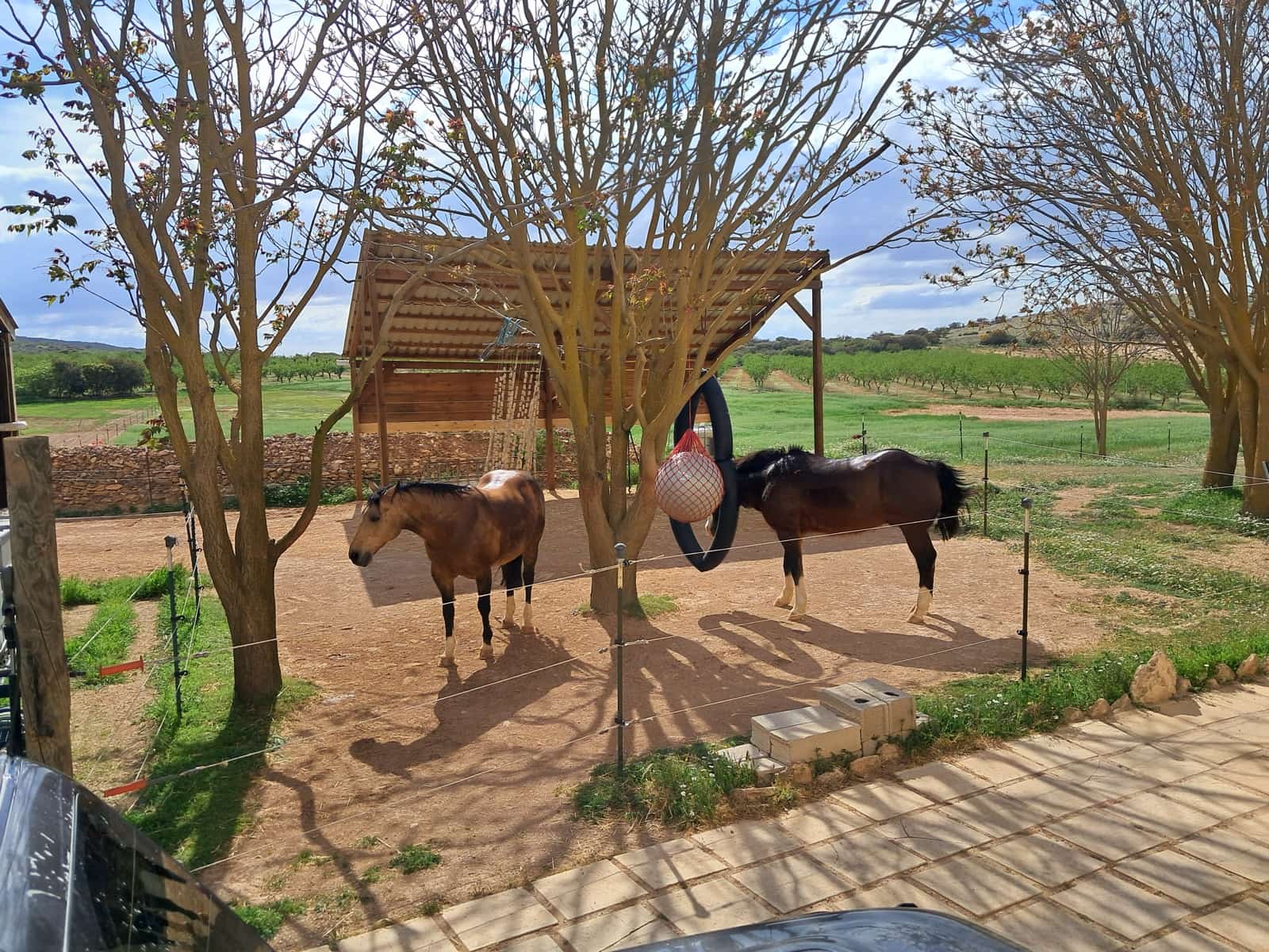 4 soverom Finca/Herregård til salgs i Cullar med svømmebasseng garasje - € 359 000 (Ref: 8453865)