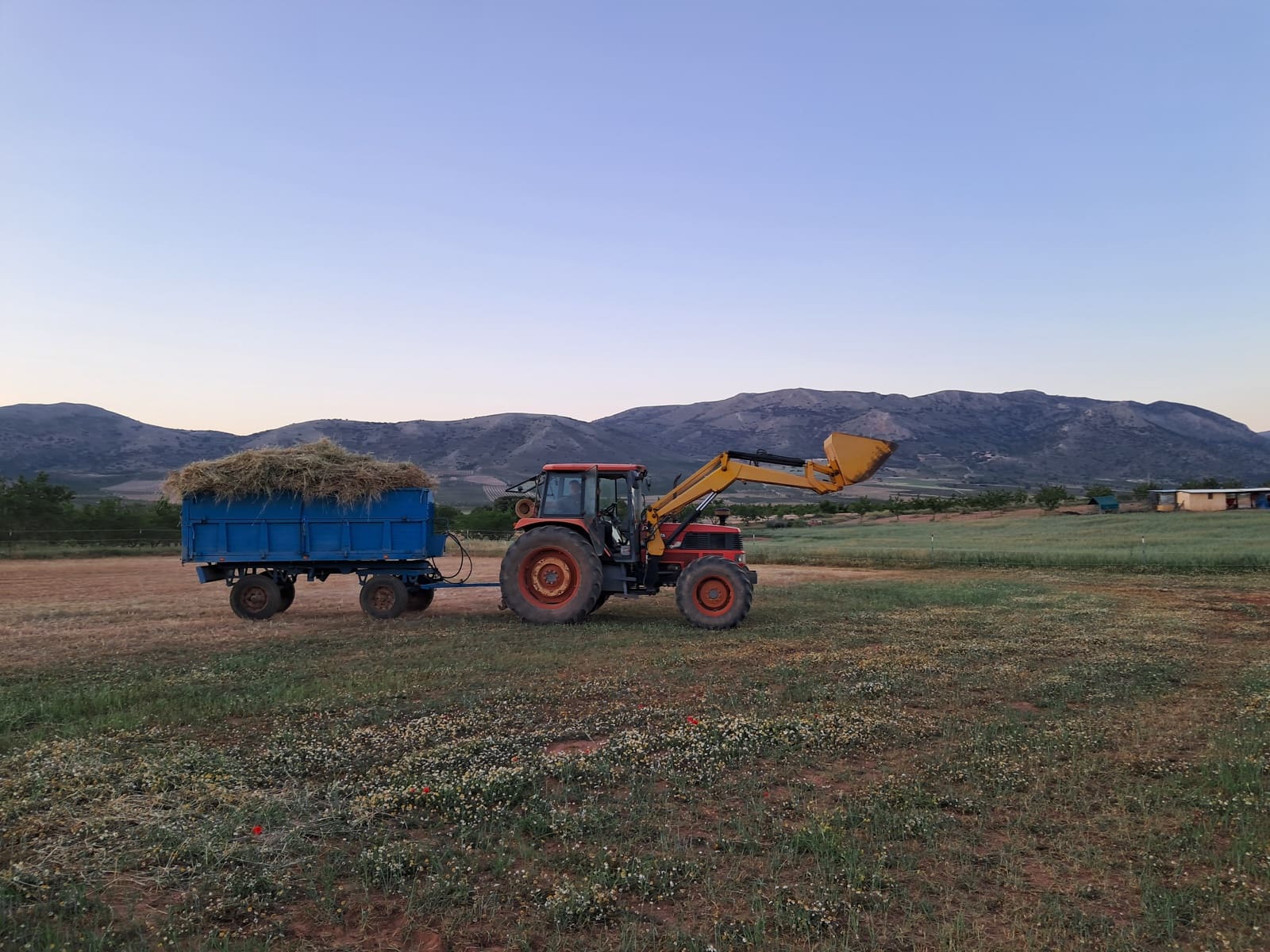 4 soverom Finca/Herregård til salgs i Cullar med svømmebasseng garasje - € 359 000 (Ref: 8453865)