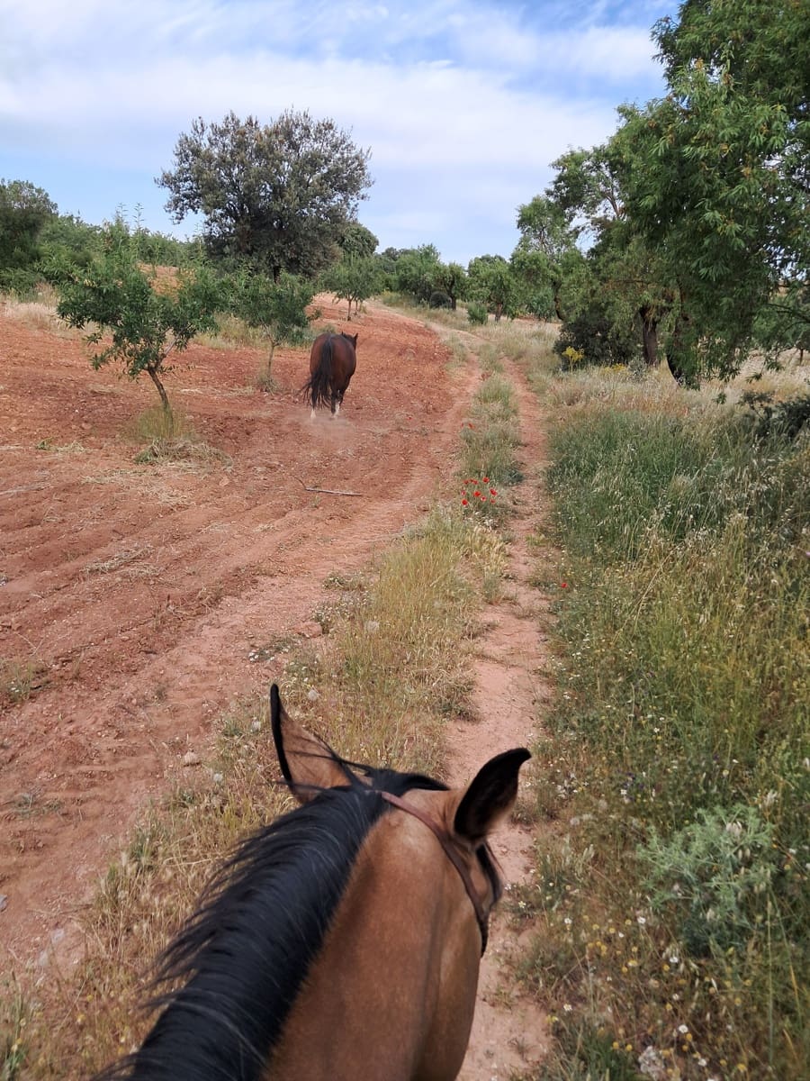 4 soverom Finca/Herregård til salgs i Cullar med svømmebasseng garasje - € 359 000 (Ref: 8453865)