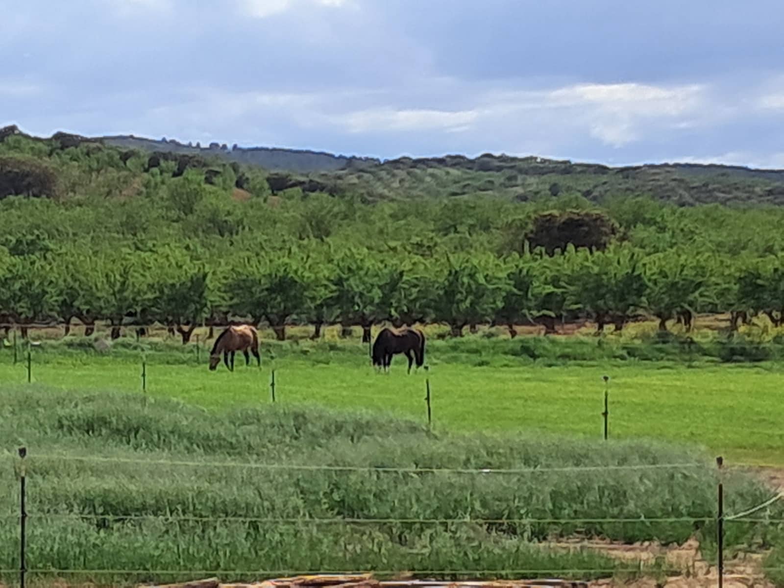 4 soverom Finca/Herregård til salgs i Cullar med svømmebasseng garasje - € 359 000 (Ref: 8453865)