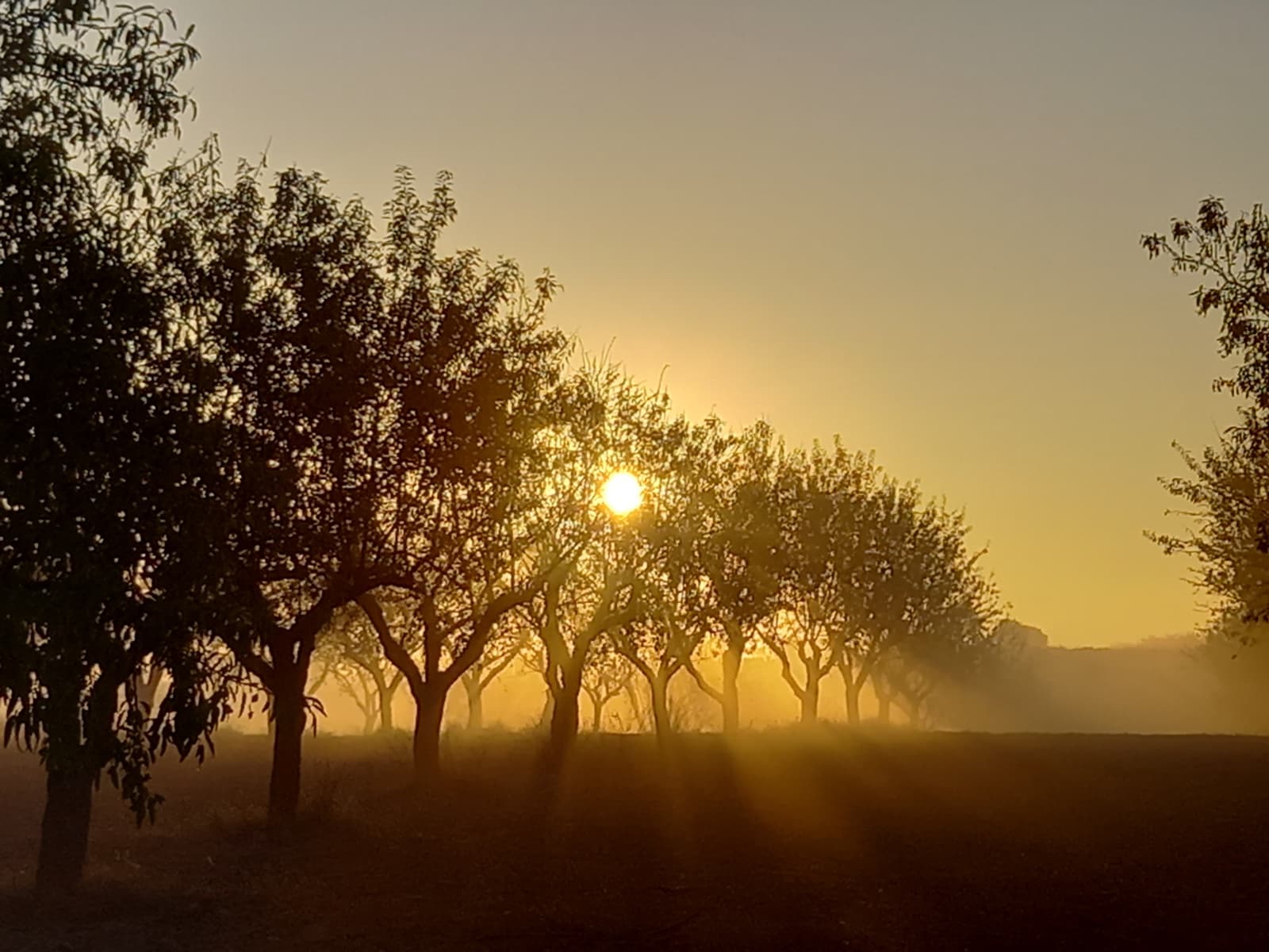 4 soverom Finca/Herregård til salgs i Cullar med svømmebasseng garasje - € 359 000 (Ref: 8453865)