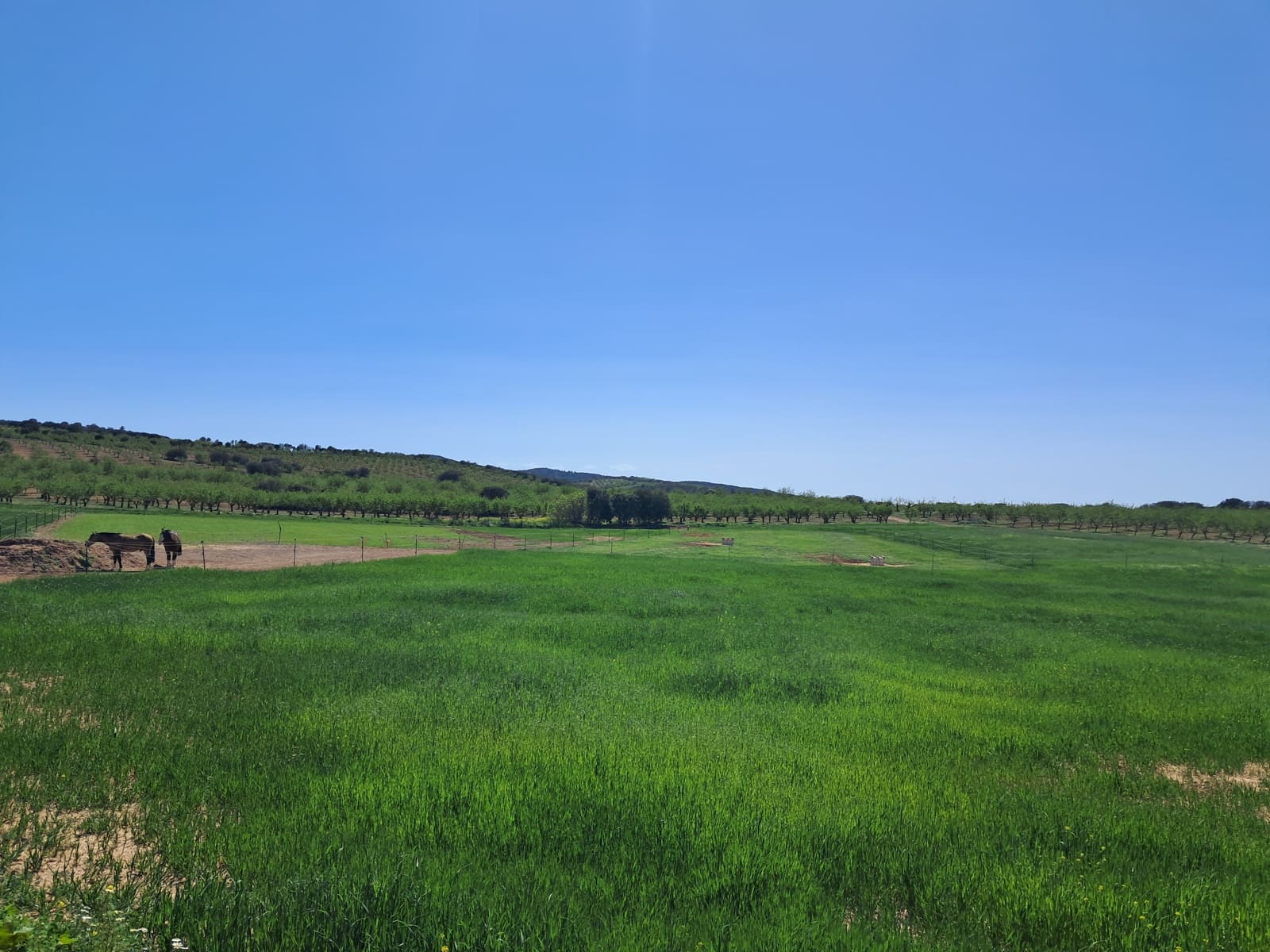 4 soverom Finca/Herregård til salgs i Cullar med svømmebasseng garasje - € 359 000 (Ref: 8453865)