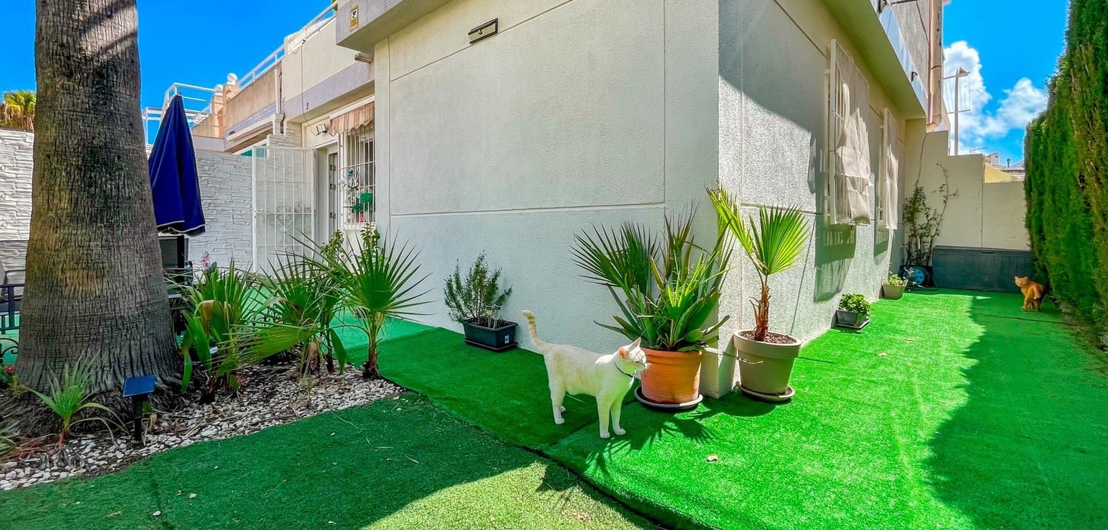 3 chambre Maison de Ville à vendre à Los Altos avec piscine - 249 900 € (Ref: 10100543)