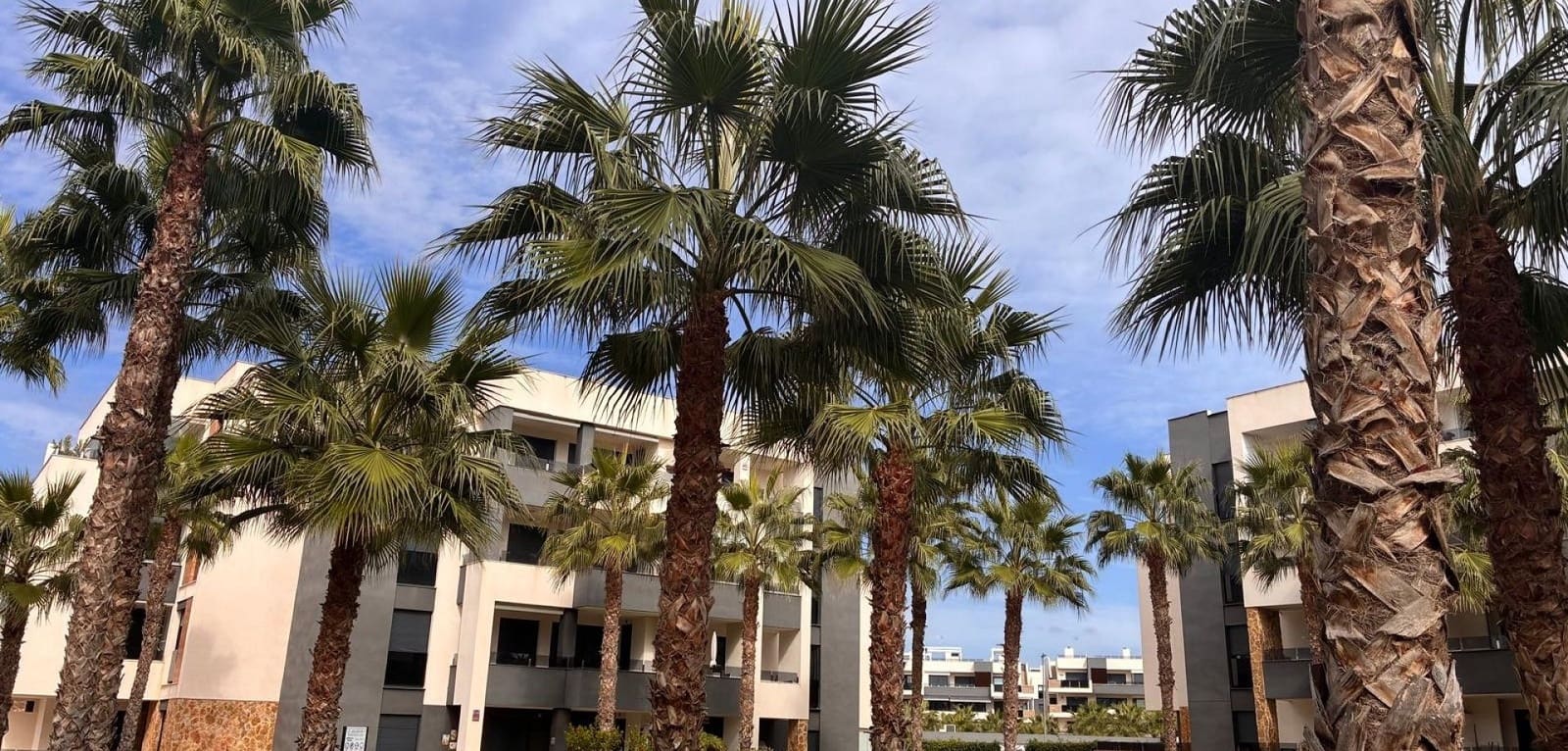 2 bedroom Apartment for sale in Los Altos with pool garage - € 259,900 (Ref: 10163247)