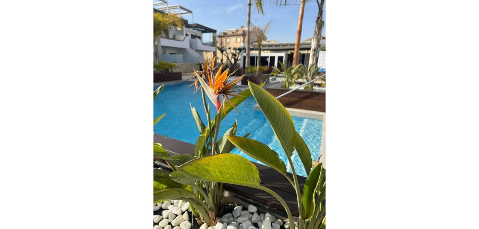 3 sypialnia Apartament na sprzedaż w Orihuela Costa z basenem garażem - 360 000 € (Ref: 10172322)