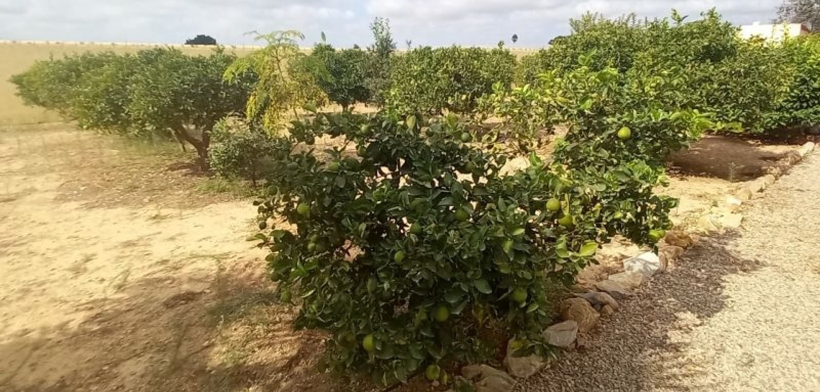 3 bedroom Finca/Country House for sale in El Mirador Pozo Aledo, San