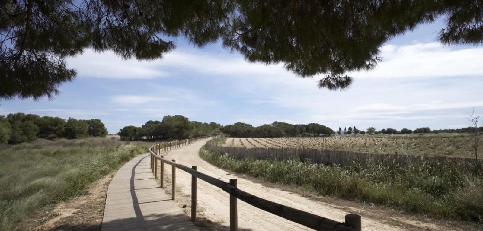 2 soverom Bungalow til salgs i Torrevieja med svømmebasseng - € 274 900 (Ref: 8938410)