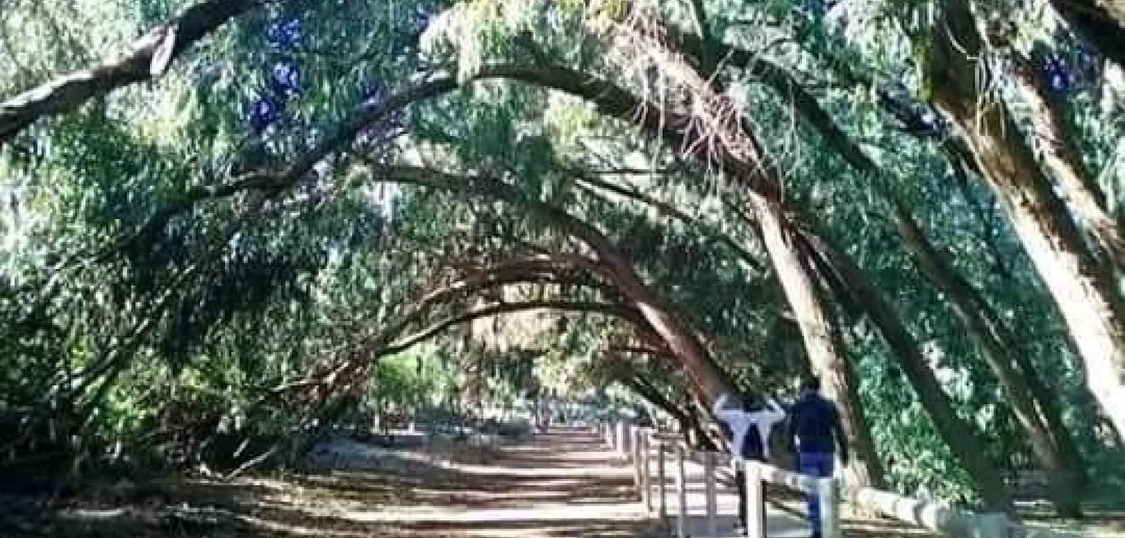 2 soverom Bungalow til salgs i Torrevieja med svømmebasseng - € 274 900 (Ref: 8938410)