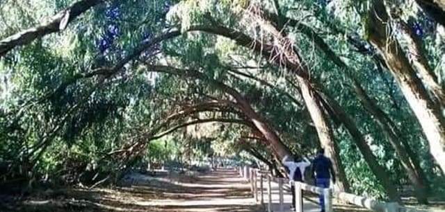 2 soveværelse Bungalow til salg i Aguas Nuevas, Torrevieja med swimmingpool - € 274.900 (Ref: 8938410)