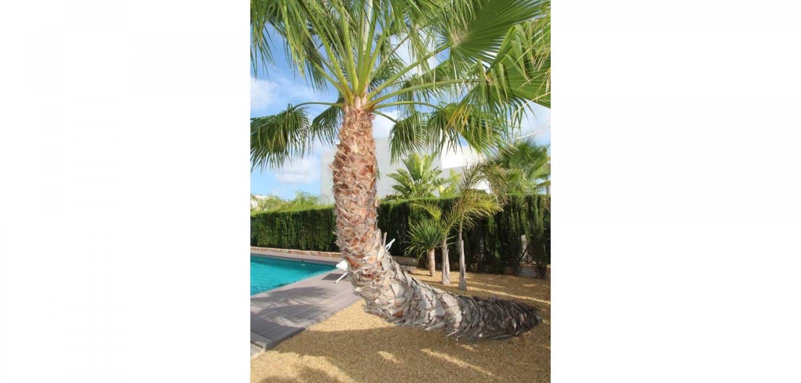 3 makuuhuone Huvila myytävänä paikassa Ciudad Quesada mukana uima-altaan - 750 000 € (Ref: 9024897)