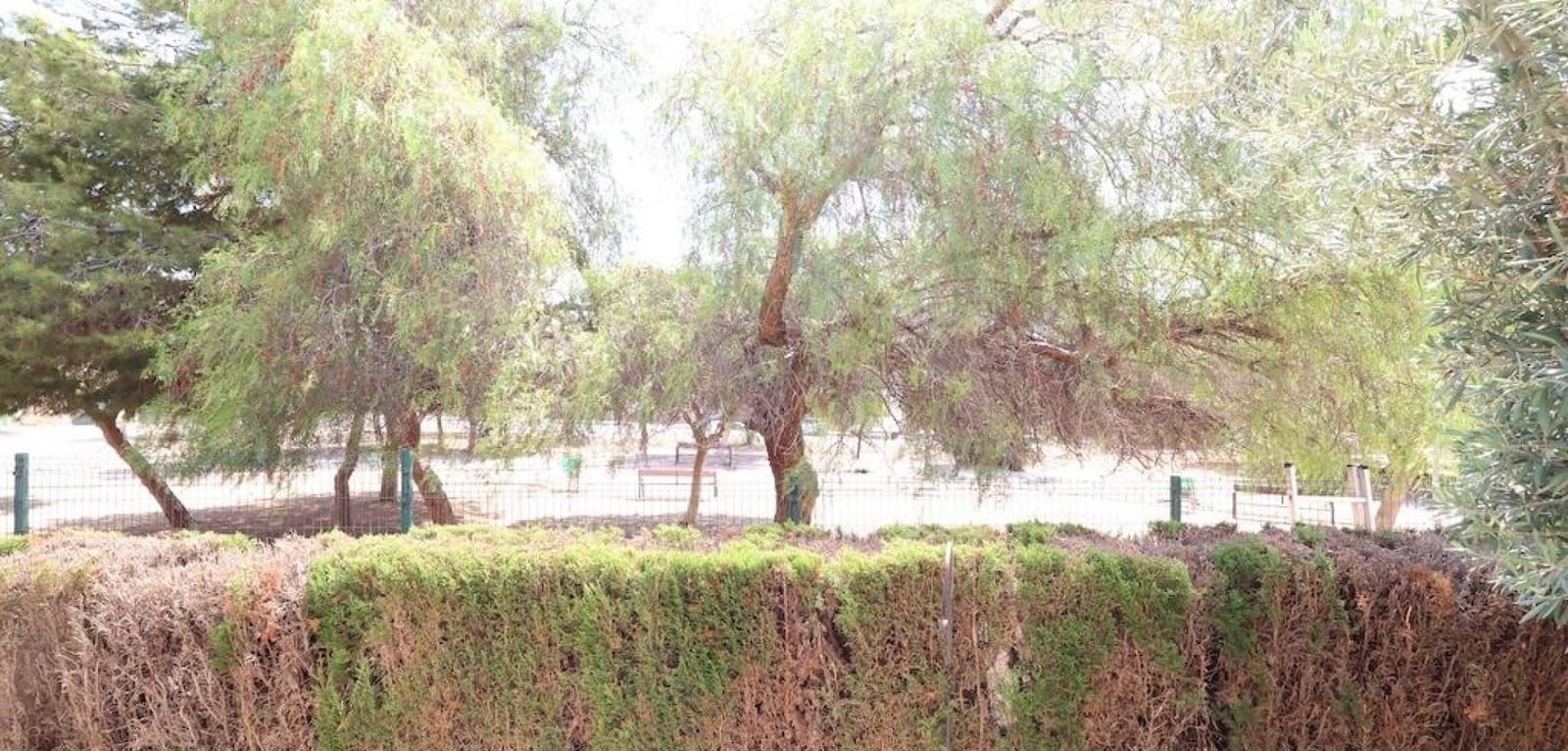 2 soveværelse Bungalow til salg i Orihuela Costa med swimmingpool - € 219.000 (Ref: 9135161)