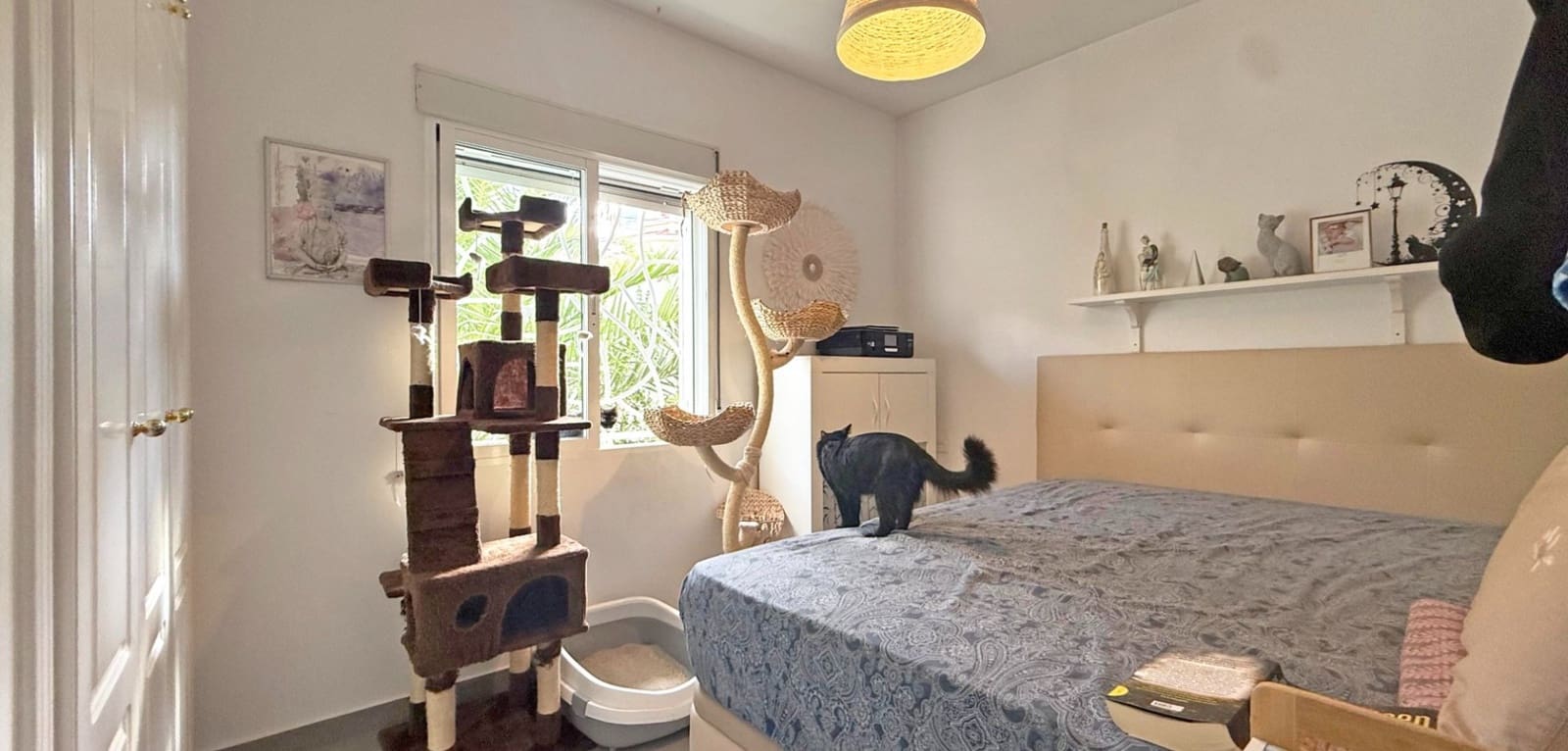 2 soveværelse Semi-Rækkehus til salg i Ciudad Quesada med swimmingpool - € 199.000 (Ref: 9231840)