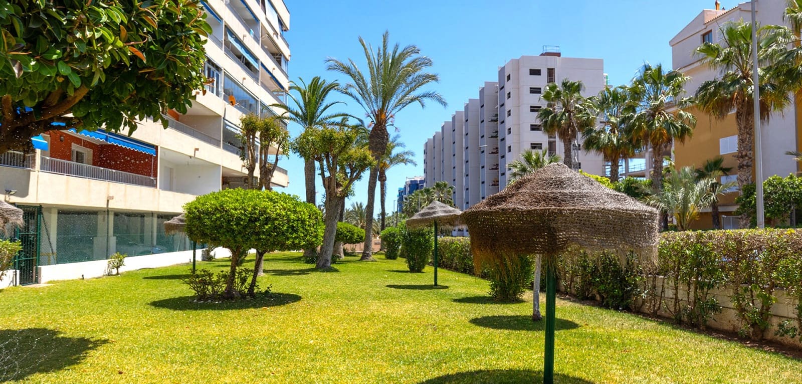 1 chambre Appartement à vendre à Punta Prima - 149 900 € (Ref: 9248967)