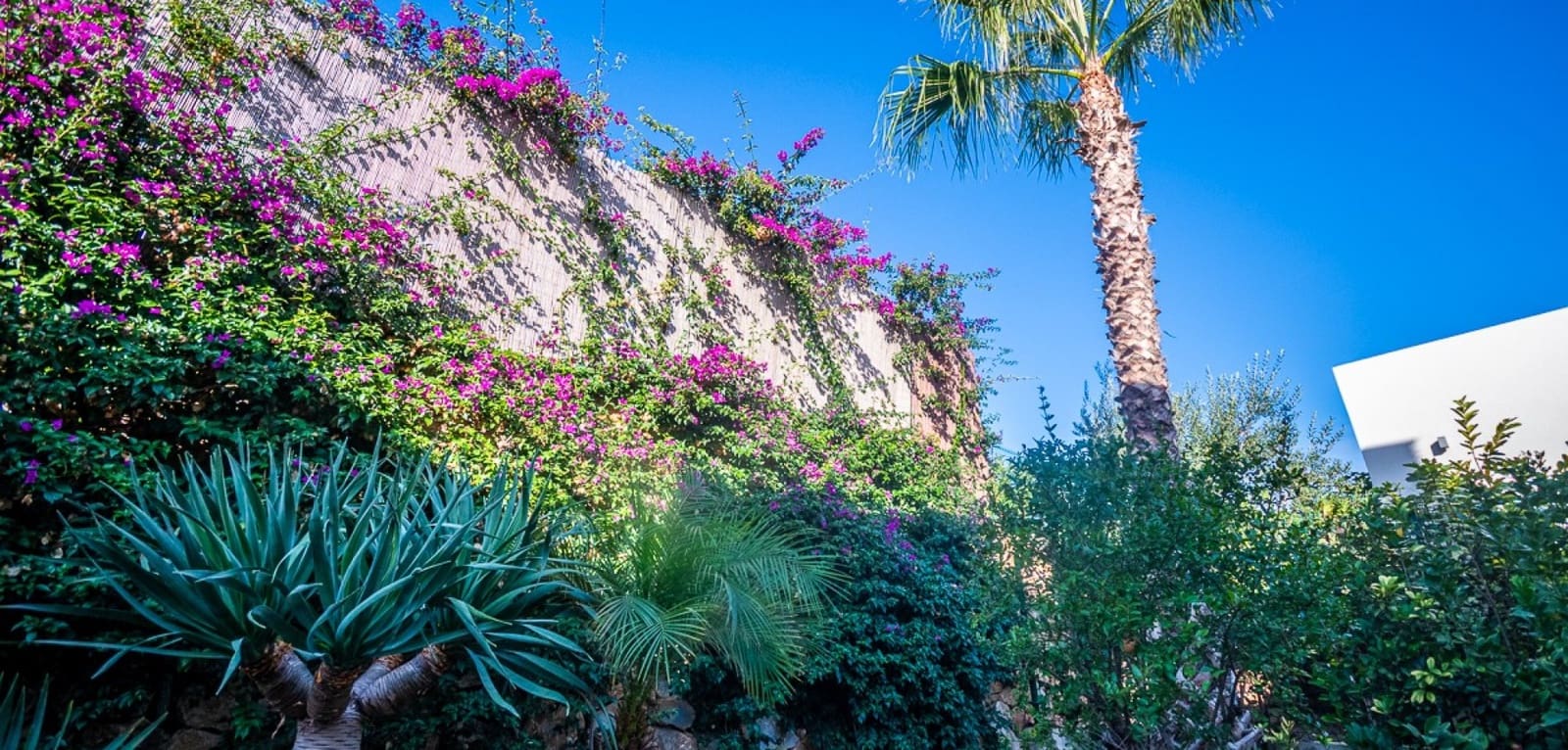 2 slaapkamer Villa te koop in Algorfa - € 660.000 (Ref: 9311387)