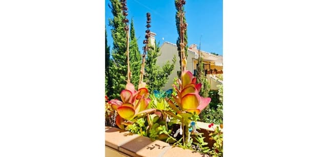 2 slaapkamer Appartement te koop in Campoamor, Orihuela met zwembad - € 199.000 (Ref: 9345551)