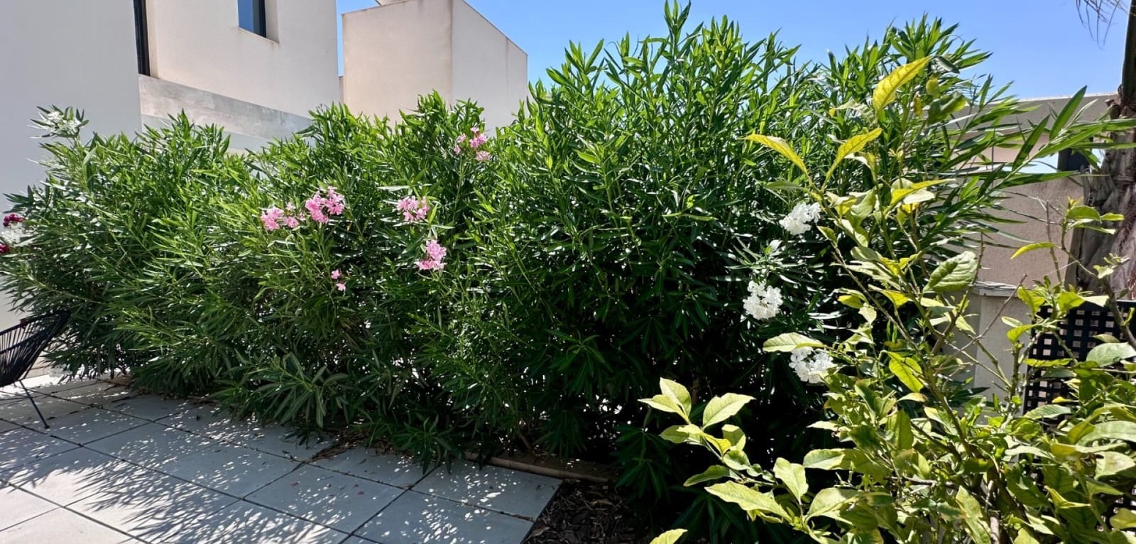 4 chambre Villa/Maison à vendre à Rojales avec piscine - 789 000 € (Ref: 9345555)