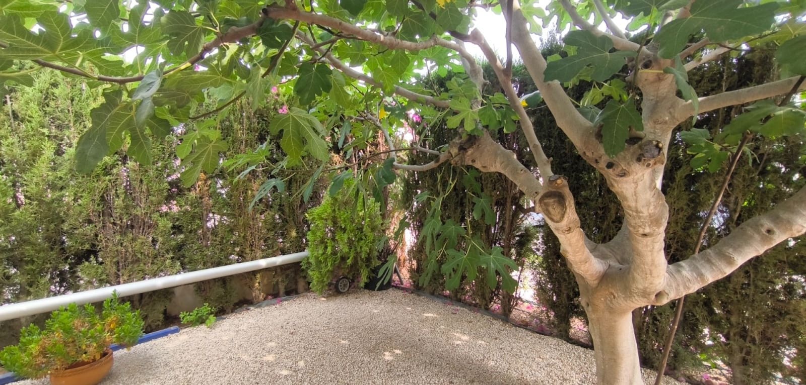 3 quarto Moradia para venda em Playa Flamenca com piscina - 570 000 € (Ref: 9436273)