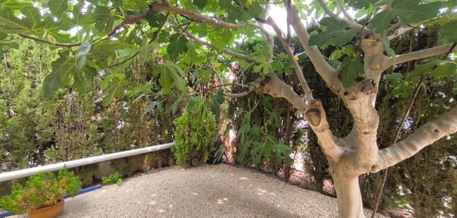 3 Zimmer Villa zu verkaufen in Playa Flamenca, Orihuela mit Pool - 570.000 € (Ref: 9436273)