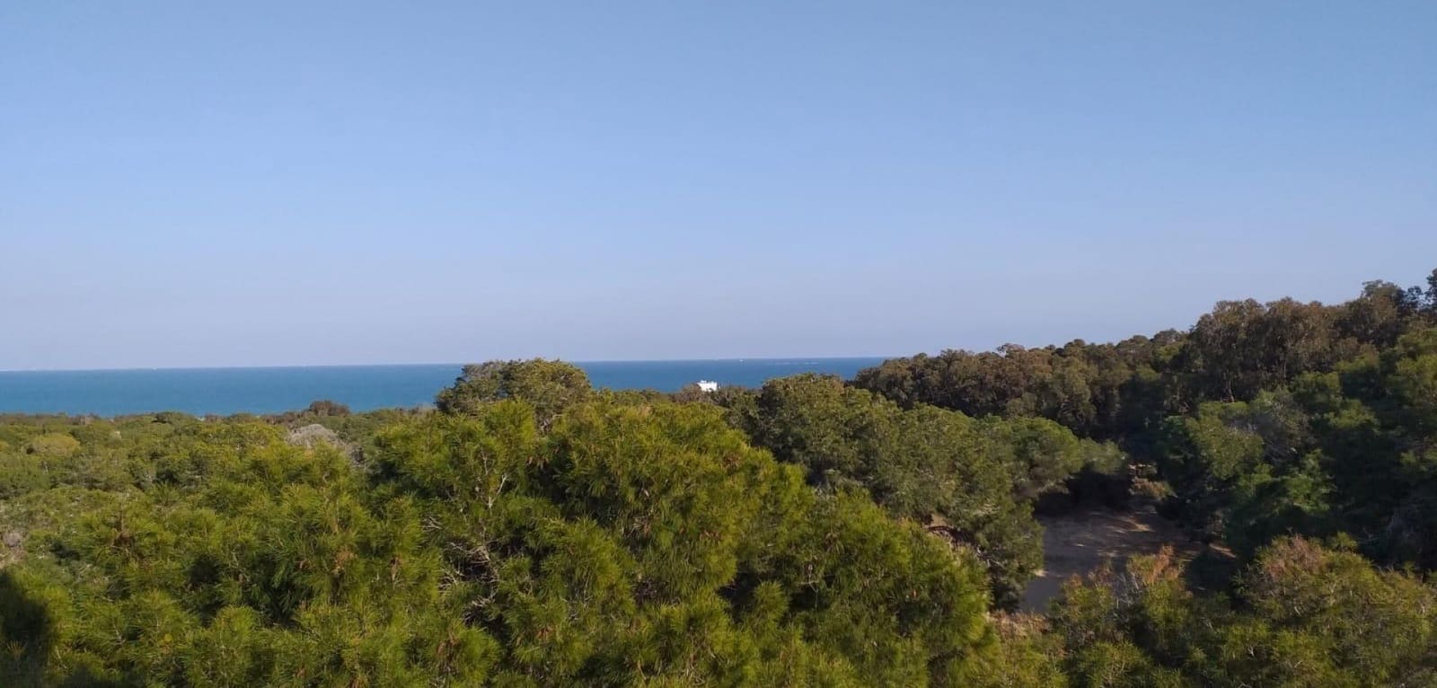 3 camera da letto Appartamento in vendita in Guardamar del Segura con piscina - 350.000 € (Rif: 9437925)