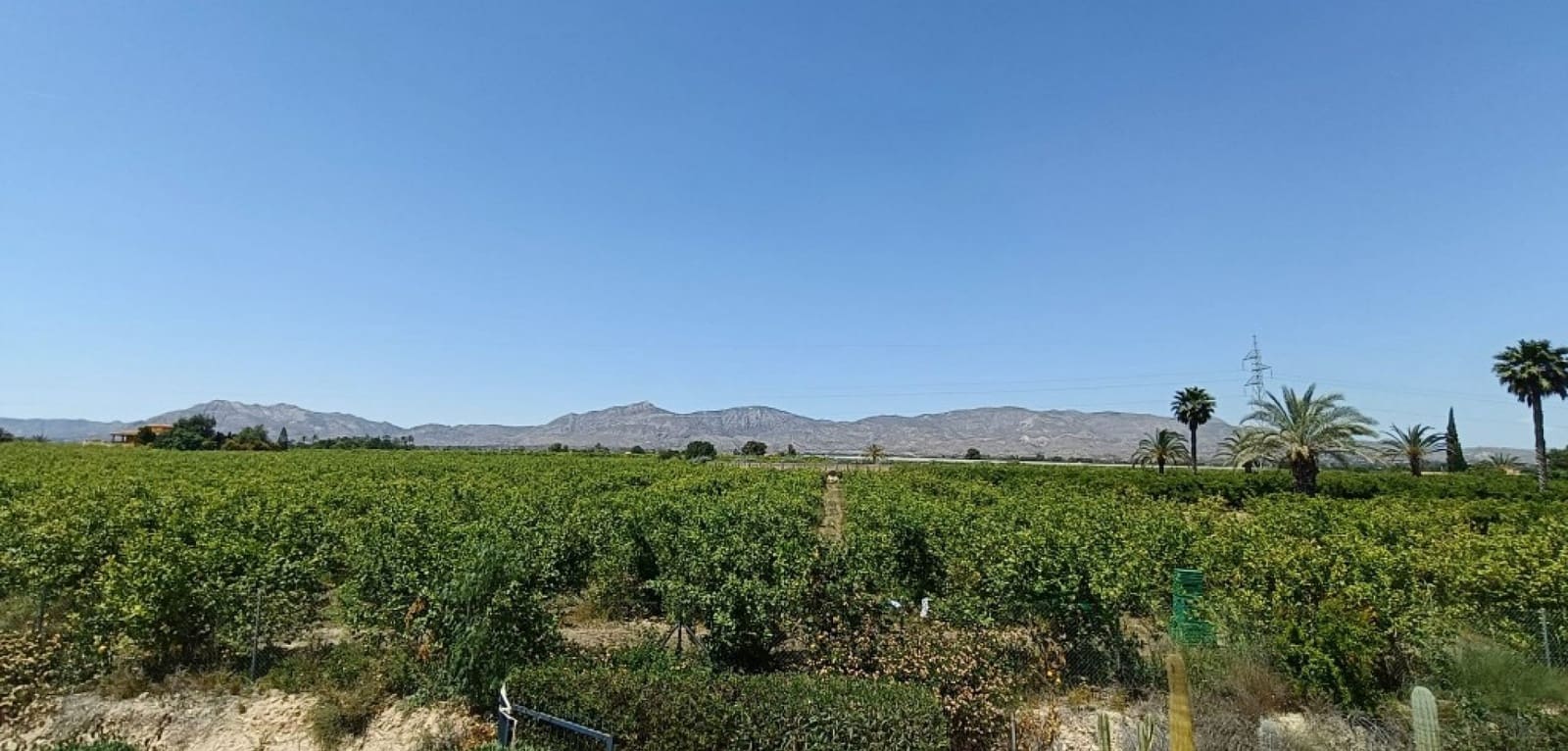 3 chambre Finca/Maison de Campagne à vendre à Albatera avec piscine - 330 000 € (Ref: 9486859)