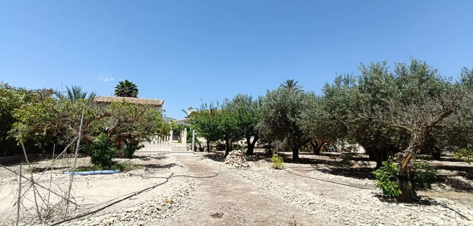 3 chambre Finca/Maison de Campagne à vendre à Albatera avec piscine - 330 000 € (Ref: 9486859)