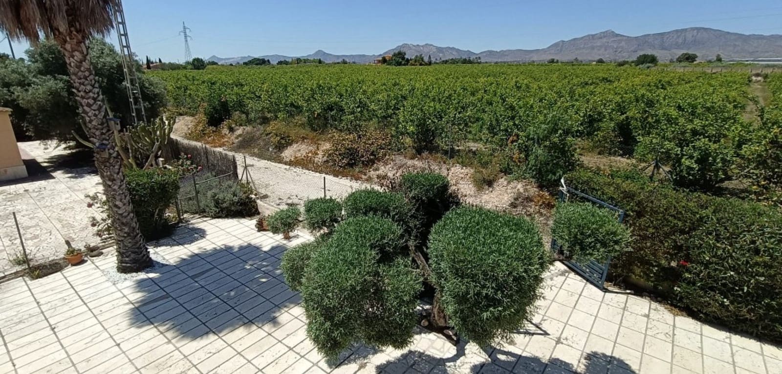 3 chambre Finca/Maison de Campagne à vendre à Albatera avec piscine - 330 000 € (Ref: 9486859)