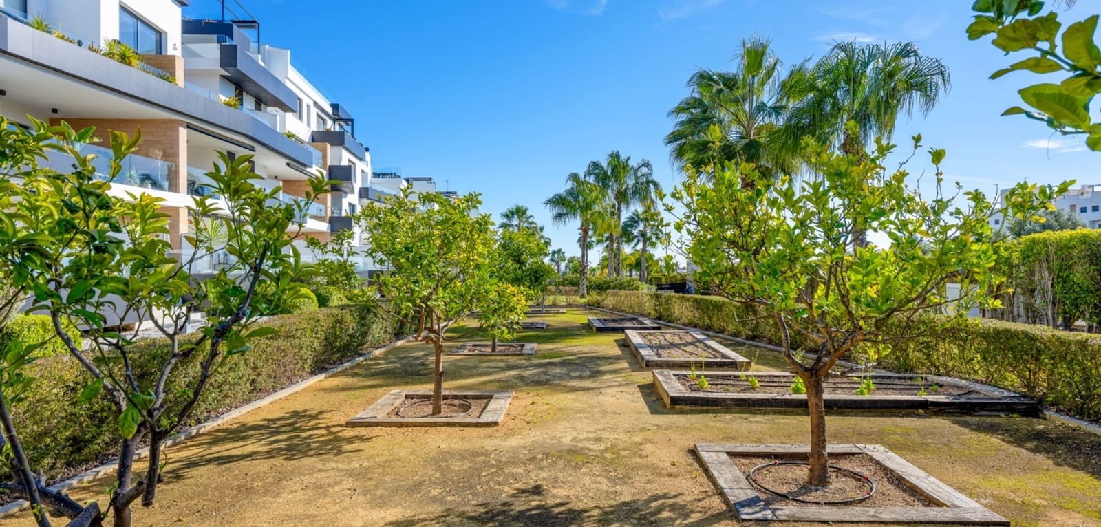 2 slaapkamer Appartement te koop in Los Dolses met zwembad - € 369.000 (Ref: 9504673)