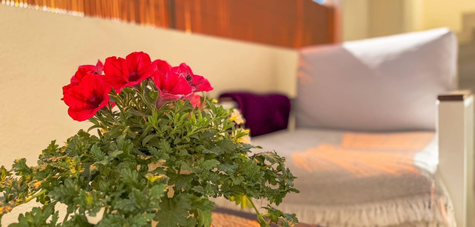 2 sypialnia Bungalow na sprzedaż w Los Altos z basenem - 265 000 € (Ref: 9656495)