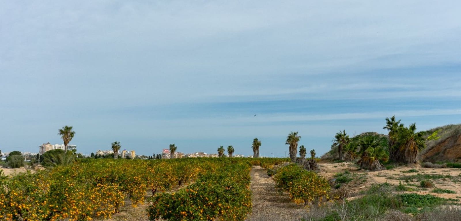 2 quarto Moradia para venda em Los Altos com piscina - 290 000 € (Ref: 9707722)