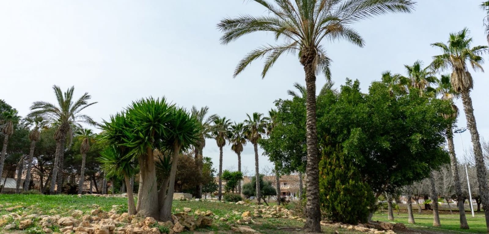 2 slaapkamer Villa te koop in Los Altos met zwembad - € 290.000 (Ref: 9776926)