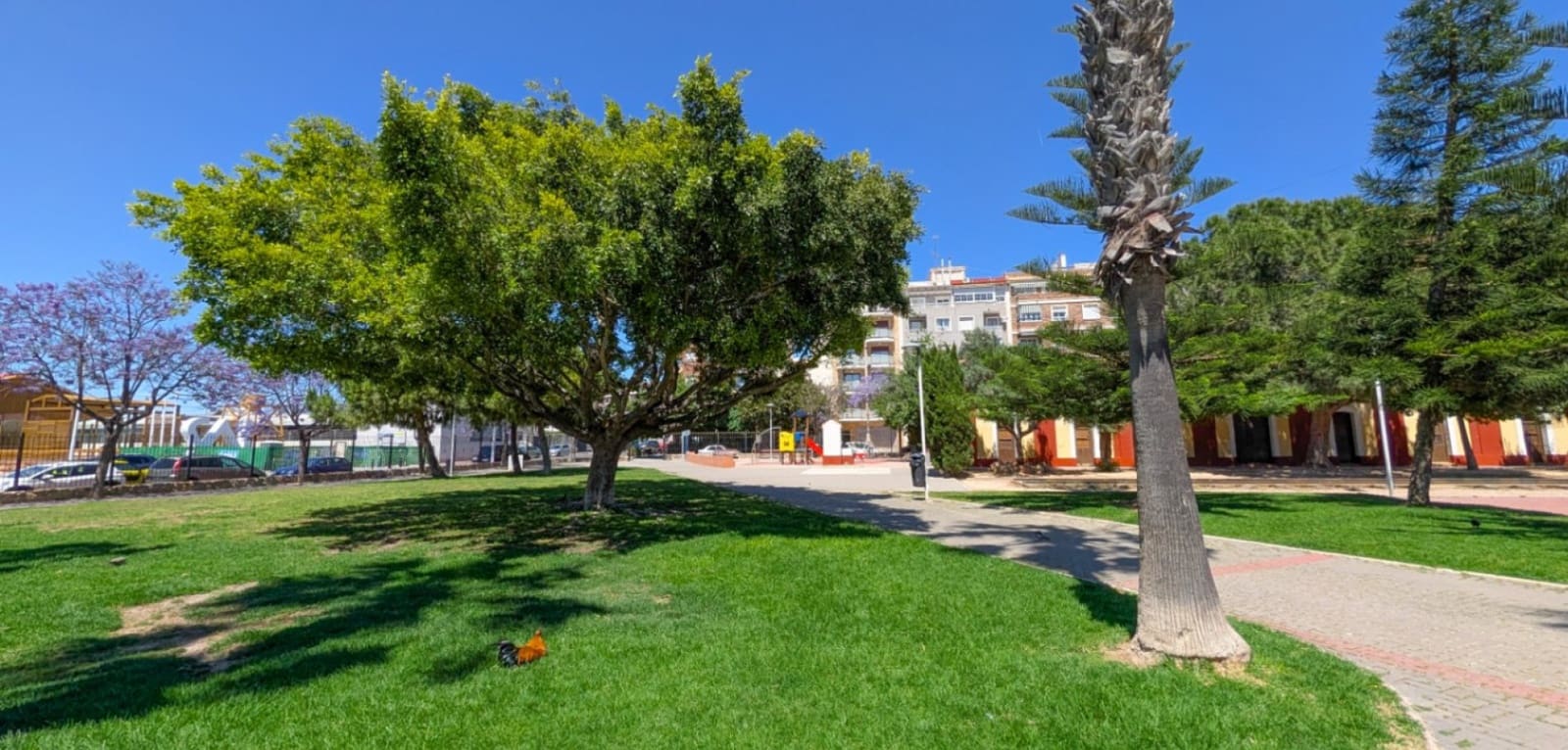 2 slaapkamer Appartement te koop in Torrevieja - € 184.700 (Ref: 9860666)