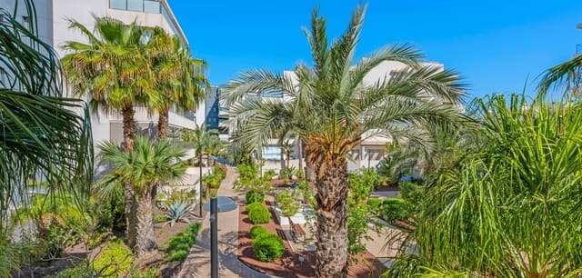 2 Zimmer Apartment zu verkaufen in Los Dolses, Orihuela mit Pool - 229.000 € (Ref: 9889444)