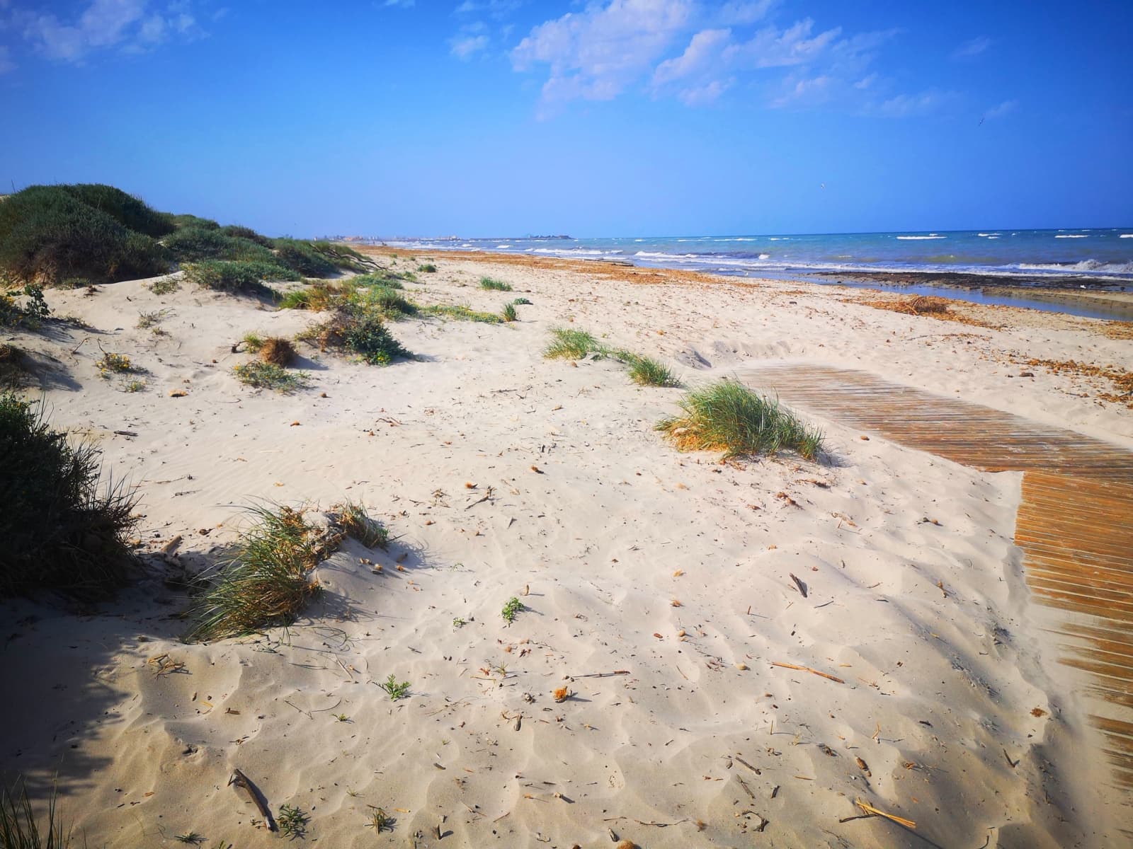 3 slaapkamer Halfvrijstaande villa te koop in San Pedro del Pinatar met garage - € 245.000 (Ref: 8980507)