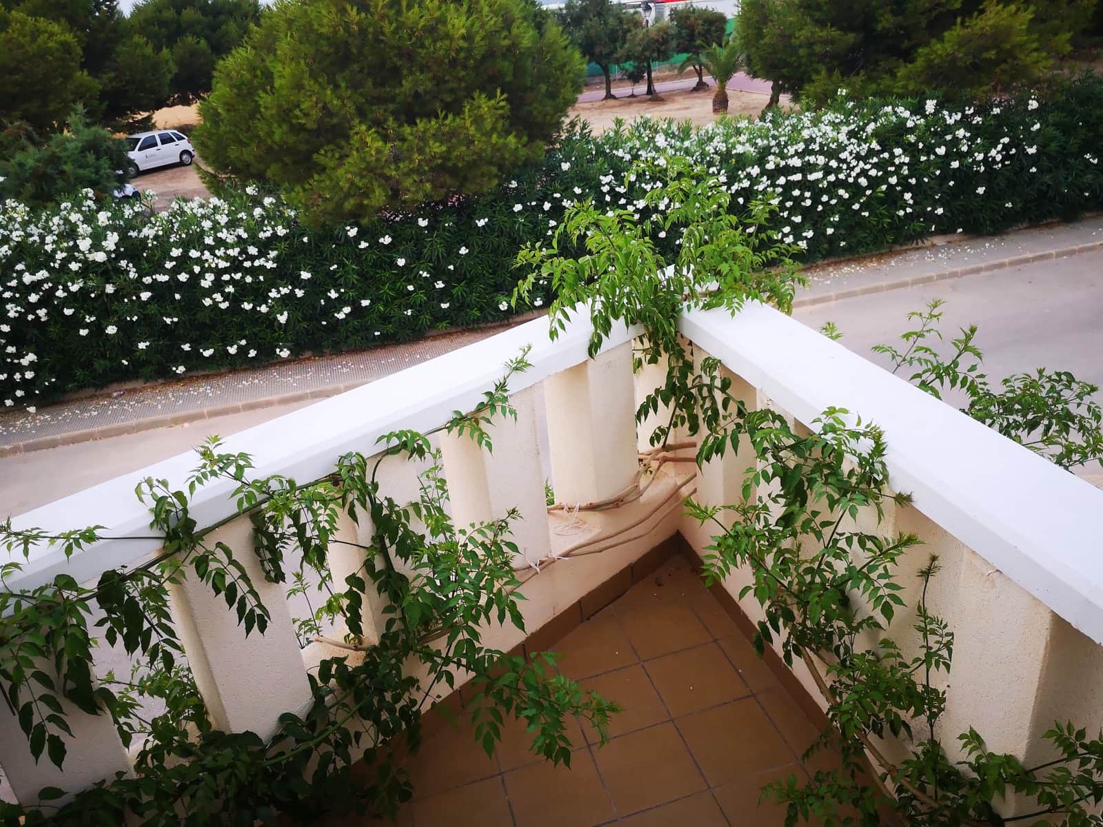 3 slaapkamer Halfvrijstaande villa te koop in San Pedro del Pinatar met garage - € 245.000 (Ref: 8980507)